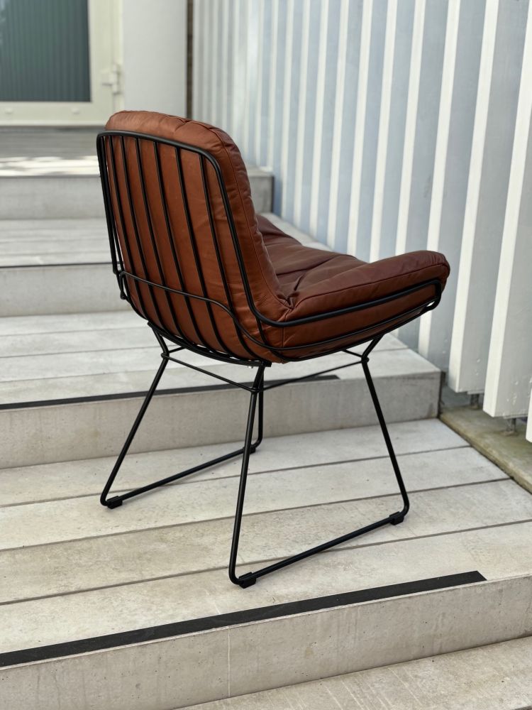 Freifrau Leyasol Armchair Low 