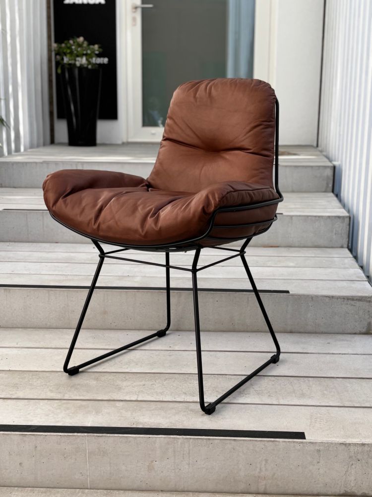 Freifrau Leyasol Armchair Low 